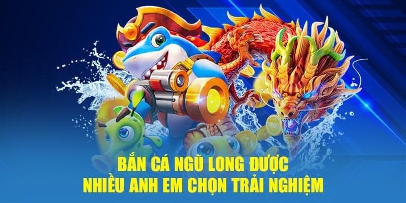 Các phòng, chế độ trong game