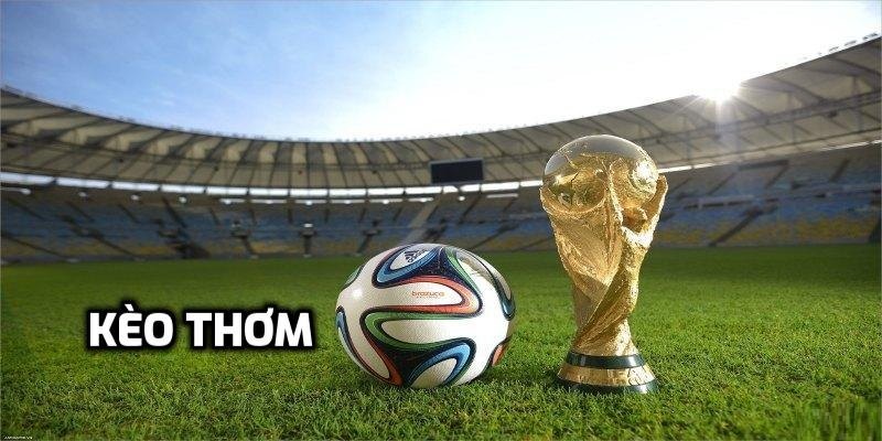 Đọc vị sự biến động của tỷ lệ kèo