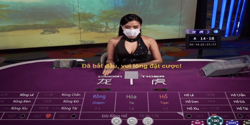 Trò chơi sở hữu những quy định và luật lệ đơn giản