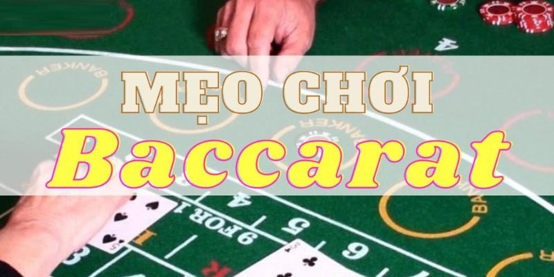 Xây dựng chiến thuật cược phù hợp sẽ giúp nâng cao khả năng thắng